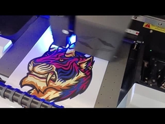 ロールフィルムディスプレイ